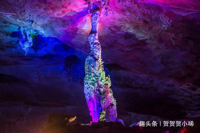 拯救科学家
